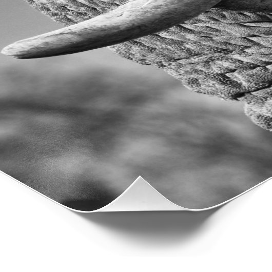 Elephant portret perfect poster (Hoek)