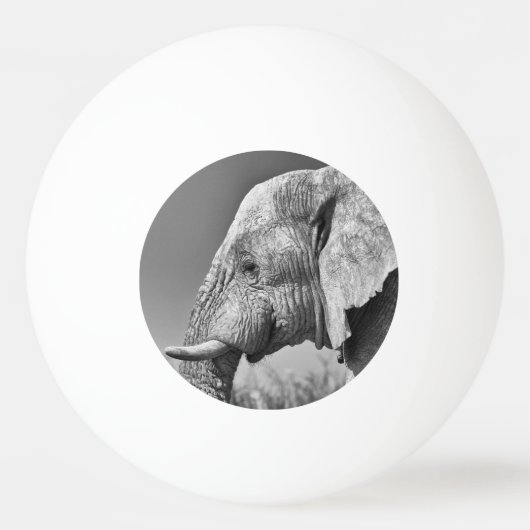 Elephant portret pingpongbal (Achterkant)