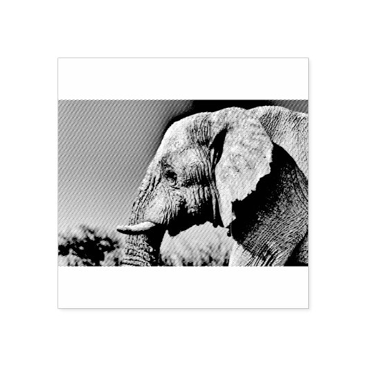 Elephant portret rubberstempel (Afrduk)