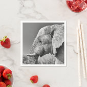 Elephant portret servet (Insitu)