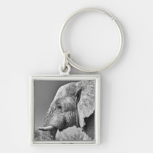 Elephant portret sleutelhanger (Voorkant)