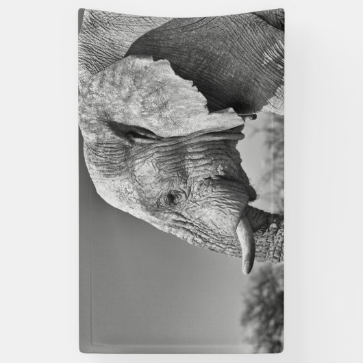 Elephant portret spandoek (Verticaal)