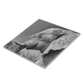 Elephant portret tegeltje (Zijkant)