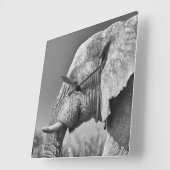 Elephant portret vierkante klok (Hoek)