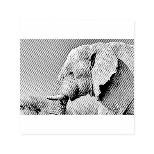 Elephant portret  zelfinktende stempel (Design)