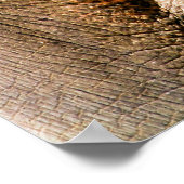 ELEPHANT POSTER (Hoek)