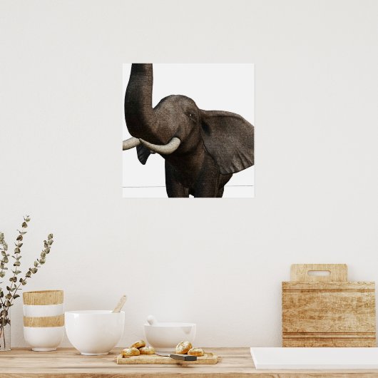 Elephant Poster (Keuken)