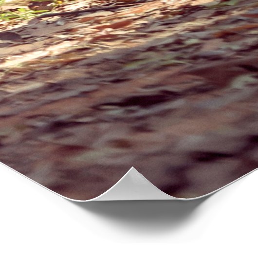 Elephant Poster (Hoek)