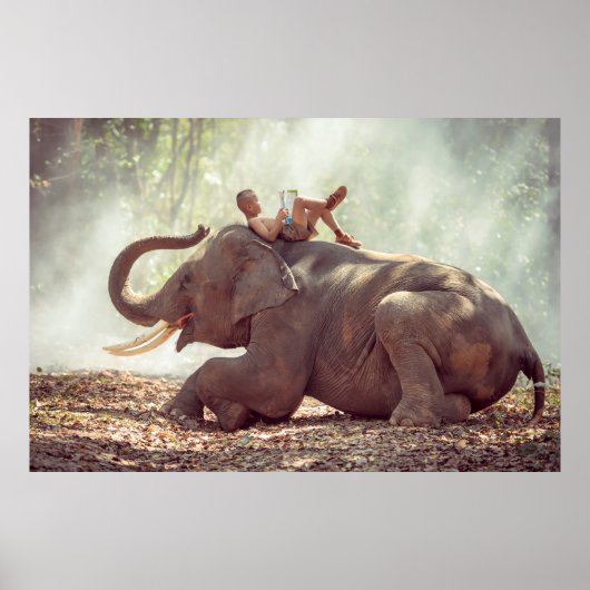 Elephant Poster (Voorkant)