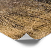 Elephant Poster (Hoek)