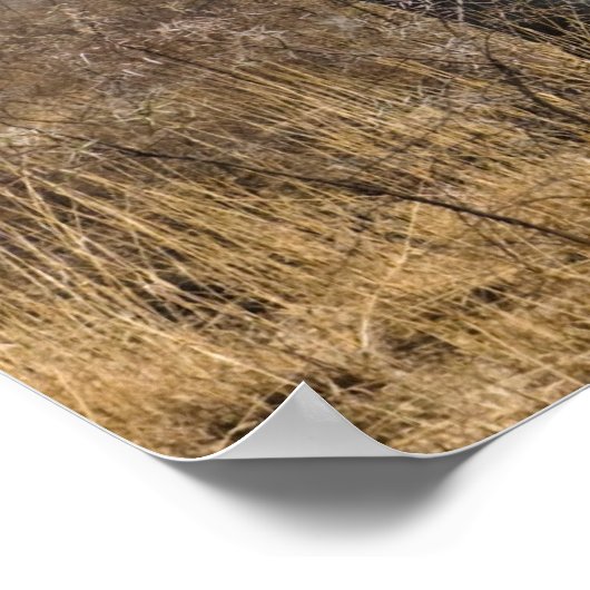 Elephant Poster (Hoek)