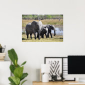 Elephant Poster (Thuiskantoor)
