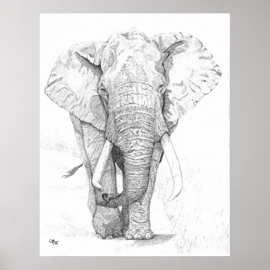 Elephant Poster (Voorkant)