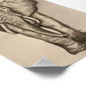 Elephant poster (Hoek)