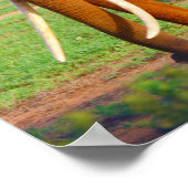 Elephant Poster (Hoek)