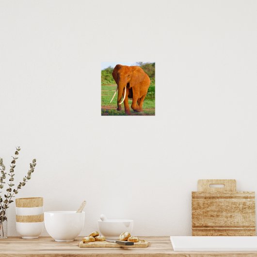 Elephant Poster (Keuken)