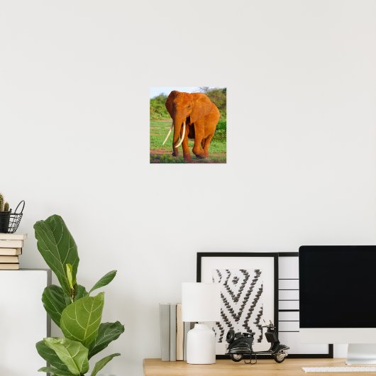 Elephant Poster (Thuiskantoor)