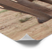 Elephant Poster (Hoek)