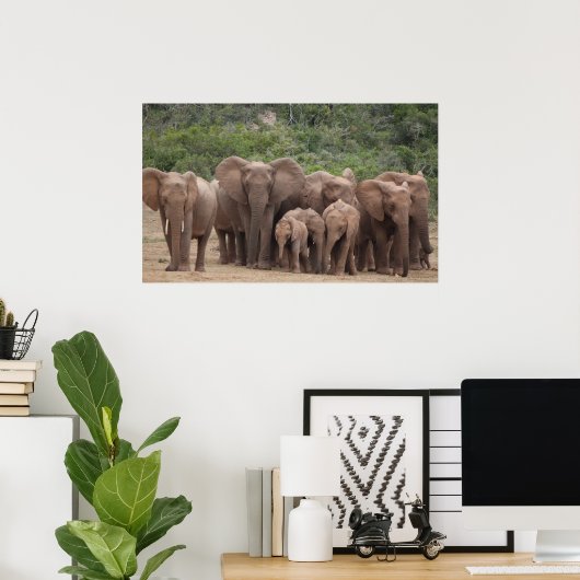 Elephant Poster (Thuiskantoor)