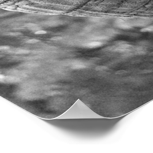 Elephant Poster (Hoek)