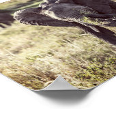 Elephant Poster (Hoek)