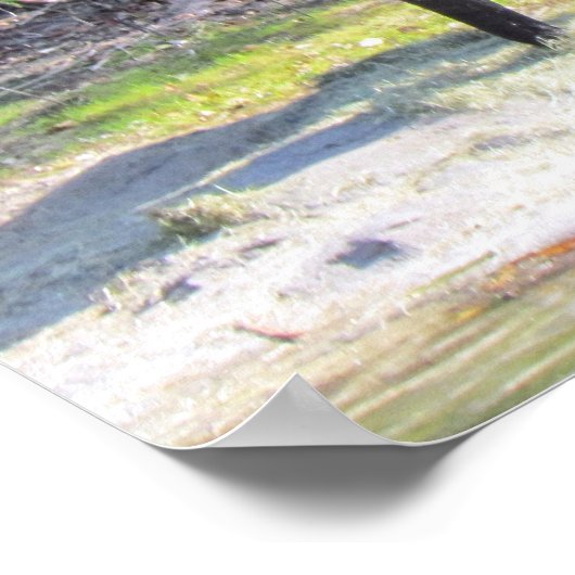 Elephant Poster (Hoek)