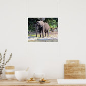 Elephant Poster (Keuken)