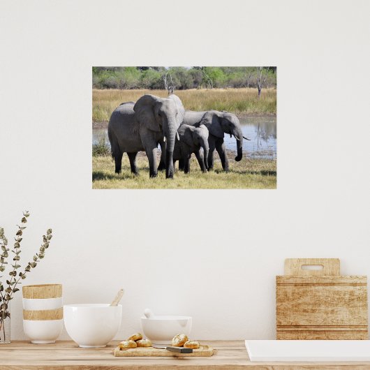 Elephant Poster (Keuken)