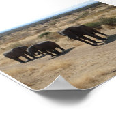 Elephant Poster (Hoek)