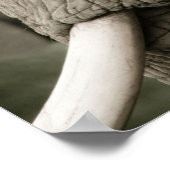 Elephant Poster (Hoek)