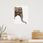 Elephant Poster (Keuken)