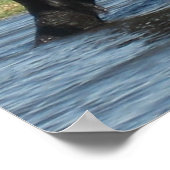 Elephant Poster (Hoek)