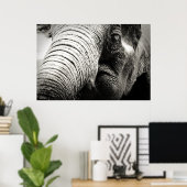 Elephant Poster in zwart-wit (Thuiskantoor)