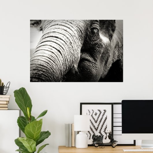Elephant Poster in zwart-wit (Thuiskantoor)