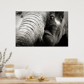 Elephant Poster in zwart-wit (Keuken)