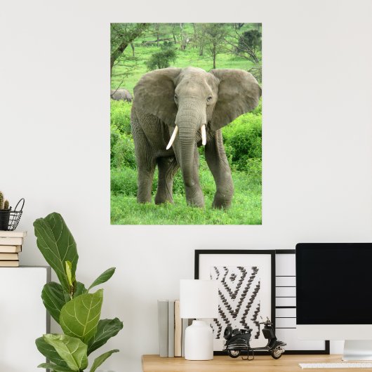 Elephant Posters (Thuiskantoor)