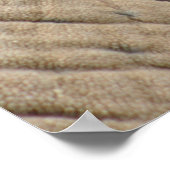 Elephant Posters (Hoek)