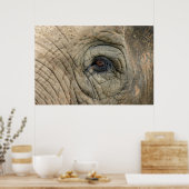 Elephant Posters (Keuken)