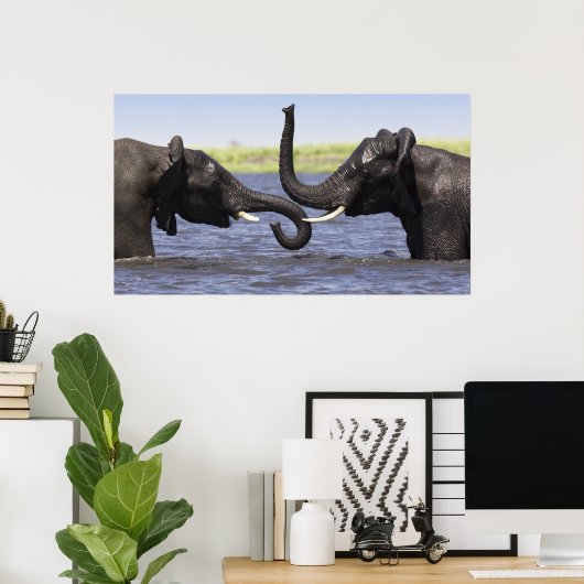 Elephant Posters (Thuiskantoor)