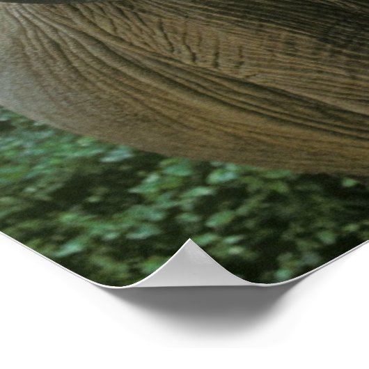 Elephant Posters (Hoek)