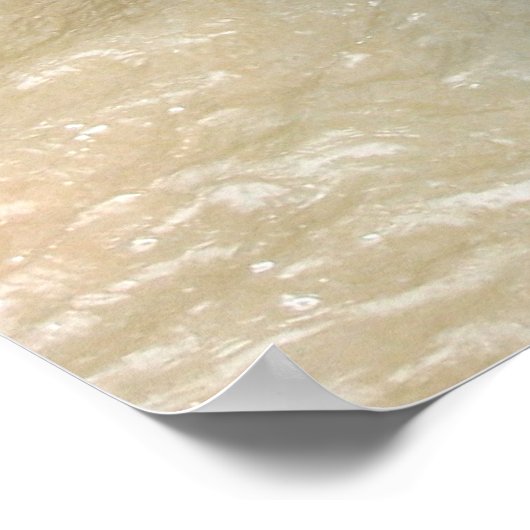 Elephant Posters (Hoek)