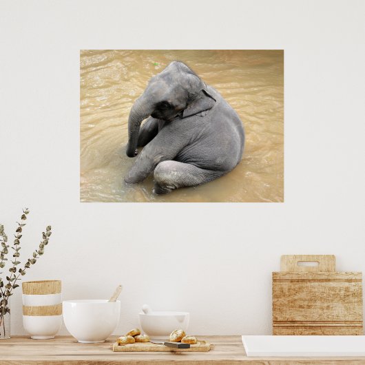 Elephant Posters (Keuken)