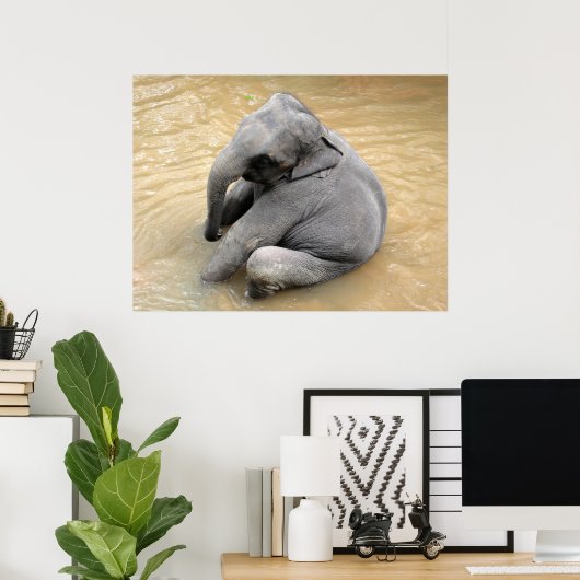 Elephant Posters (Thuiskantoor)