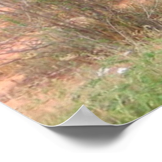 Elephant Posters (Hoek)