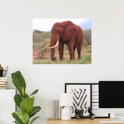 Elephant Posters (Thuiskantoor)