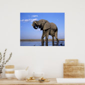 Elephant Posters (Keuken)