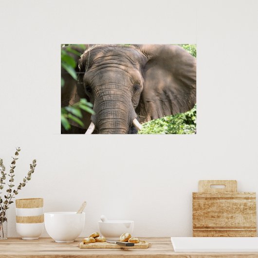 Elephant Print (Keuken)