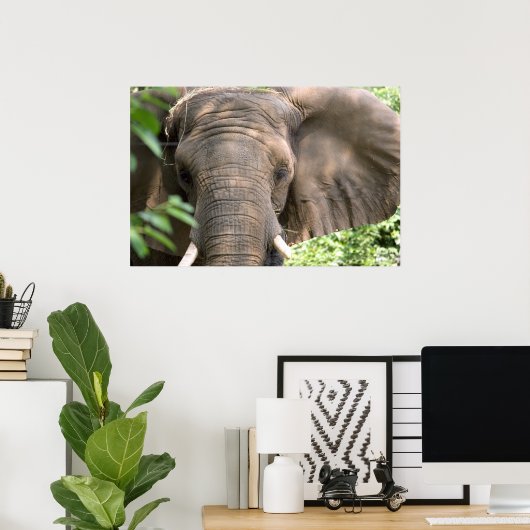 Elephant Print (Thuiskantoor)