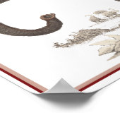 ELEPHANT PRINT (Hoek)