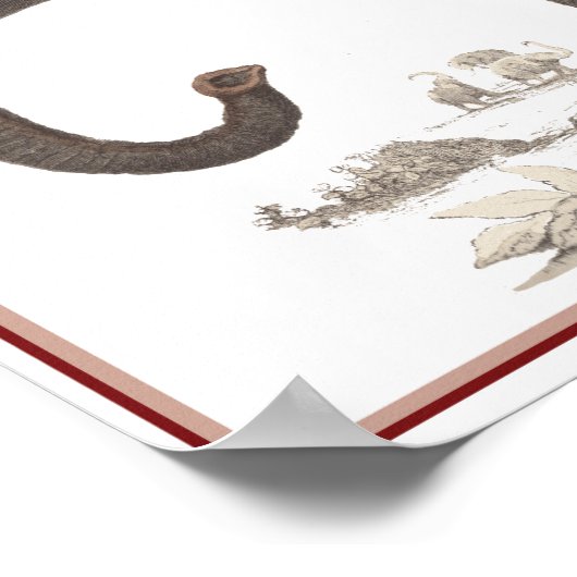 ELEPHANT PRINT (Hoek)